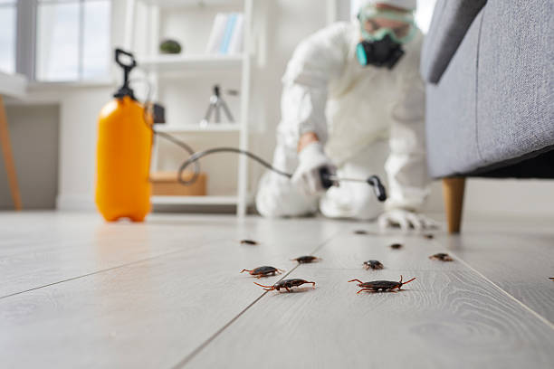 Commercial Kitchen Cockroach Control in Lake Wynonah